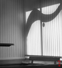 ������� ����, ��������� ������ ������ ���������